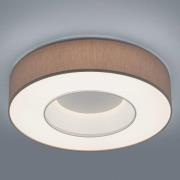 Helestra Lomo - LED-Deckenlampe, Chintz mocca