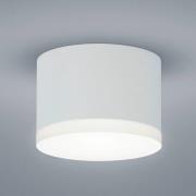 Helestra Pala - LED-Aufbau-Downlight, weiß