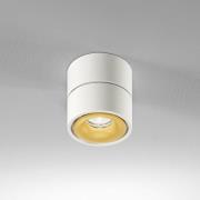 Egger Clippo LED-Deckenspot dim-to-warm weiß/gold