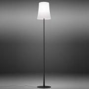 Foscarini Birdie Easy Stehleuchte schwarz