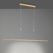 Quitani LED-Pendellampe Tolu, Länge 179 cm, messing