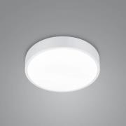 LED-Deckenlampe Waco, CCT, Ø 31cm, weiß matt