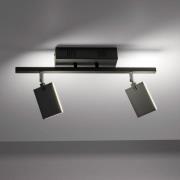 PURE Mira Deckenlampe 2-flammig Remote CCT schwarz