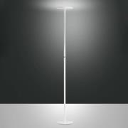 LED-Stehleuchte Regina, weiß, CCT, dimmbar, Höhe 180 cm