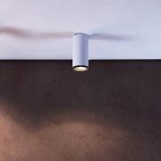 LED-Anbaudownlight Lucea 20 W weiß