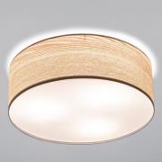 Paulmann Liska Deckenlampe in hellem Holz