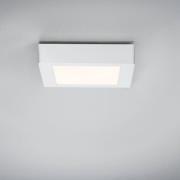 Paulmann Lunar LED-Panel, eckig, weiß, 17x17cm