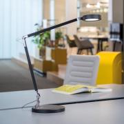 LED-Tischleuchte MAULgrace, schwarz, 37 cm, dim, CCT