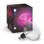 Philips Hue Lightguide Ellipse E27 6,5W 500lm