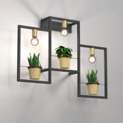 Wandleuchte Flores, 3-flammig, schwarz/gold, mit Stecker