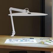 LED-Klemmleuchte MAULwork, weiß, Höhe 50 cm, dimmbar