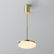 Maytoni LED-Hängeleuchte Plato, messing, Ø 18,5cm, Aluminium