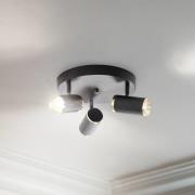 Deckenspot Lume, rund, 3-flammig, schwarz / messing, Eisen