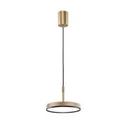 LED-Pendellampe Don, goldfarben, Ø 20 cm, Metall
