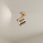 Deckenspot Chloe, schwenkbar, 1-flammig, Stahl messingfarben