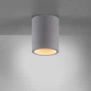 Paul Neuhaus Deckenlampe Eton, grau, Beton, Ø 11 cm, GU10