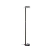 LED-Stehleuchte Mora, anthrazit, Höhe 178 cm, Metall
