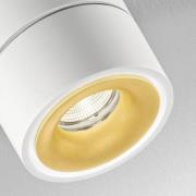 Egger DLS LED-Deckenspot Clippo S Duo, 2-flammig, weiß-gold