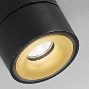 Egger DLS LED-Deckenspot Clippo S Duo, schwarz-gold