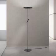 LED-Stehleuchte Teide, schwarz, Metall, Leselampe, Dimmer