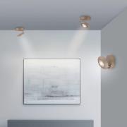 PURE LED-Deckenlampe Oculis bronzefarben, Ø 15 cm Eisen/Glas