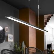 LED-Hängelampe Metz TW, CCT, Länge 120 cm, schwarz