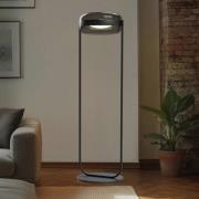Lucande LED-Stehleuchte Auro, schwarz, Glas, Höhe 150cm