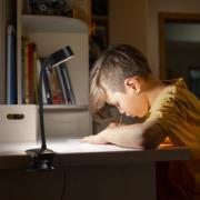 OSRAM LED-Klemmleuchte Office Line Cylinder schwarz CCT DIM