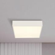 LED-Bad-Deckenlampe Zeus, weiß, Länge 30 cm, Metall