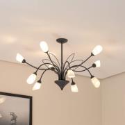 Deckenleuchte Gloriosa, Glas, schwarz, 10-flammig