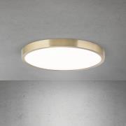LED-Deckenlampe Disc, messingfarben antik, Ø 28 cm, CCT