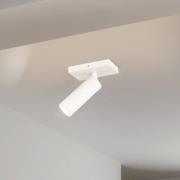 Arcchio Deckenstrahler Brinja Slim, weiß, 1-flg., GU10 MR11