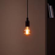 LED-Globe E27 G80 4W Filament 1.700K amber dimmbar
