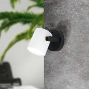 Wandleuchte Hornwood mit Holzdetail, weiß