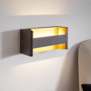 LED-Wandlampe Feloniche in Schwarz/Gold