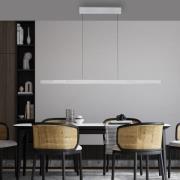 Paul Neuhaus LED-Hängelampe Adriana Comfort Lift, alu, CCT