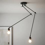 Deckenleuchte Rod zweiflammig, schwarz