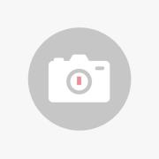 WEVER & DUCRÉ Ray 2.0 PAR16 Hängelampe alu/schwarz