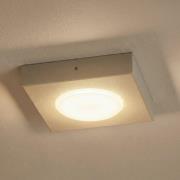 Deckenleuchte Hero, grau-beige, 12 x 12 cm, Metall, GX53