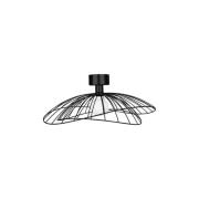 Globen Lighting - Ray 60 Wand-/Deckenleuchte Schwarz