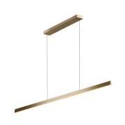 Light-Point - Edge Linear S2000 Pendelleuchte Brass