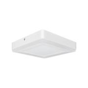 LED CLICK White SQ 200 mm 15 W (Weiss)