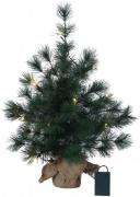 Table pine 60cm (Grün)