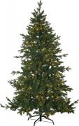 Christmas tree with LED Larvik 270 (Grün)