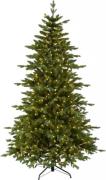 Christmas tree with LED Larvik 600 (Grün)