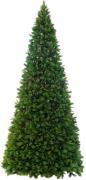 Christmas tree Colorado (Grün)