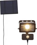 Powerspot solar cell (PIR + twilight) (Schwarz)