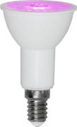 E14 LED 3,5W Pflanzenlampe (Weiss)