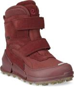 Ecco Biom K2 GTX Winterstiefel, Andorra, 33