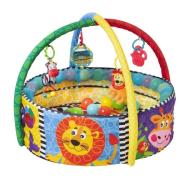 Playgro Ball Spielbogen, Babyspielzeug